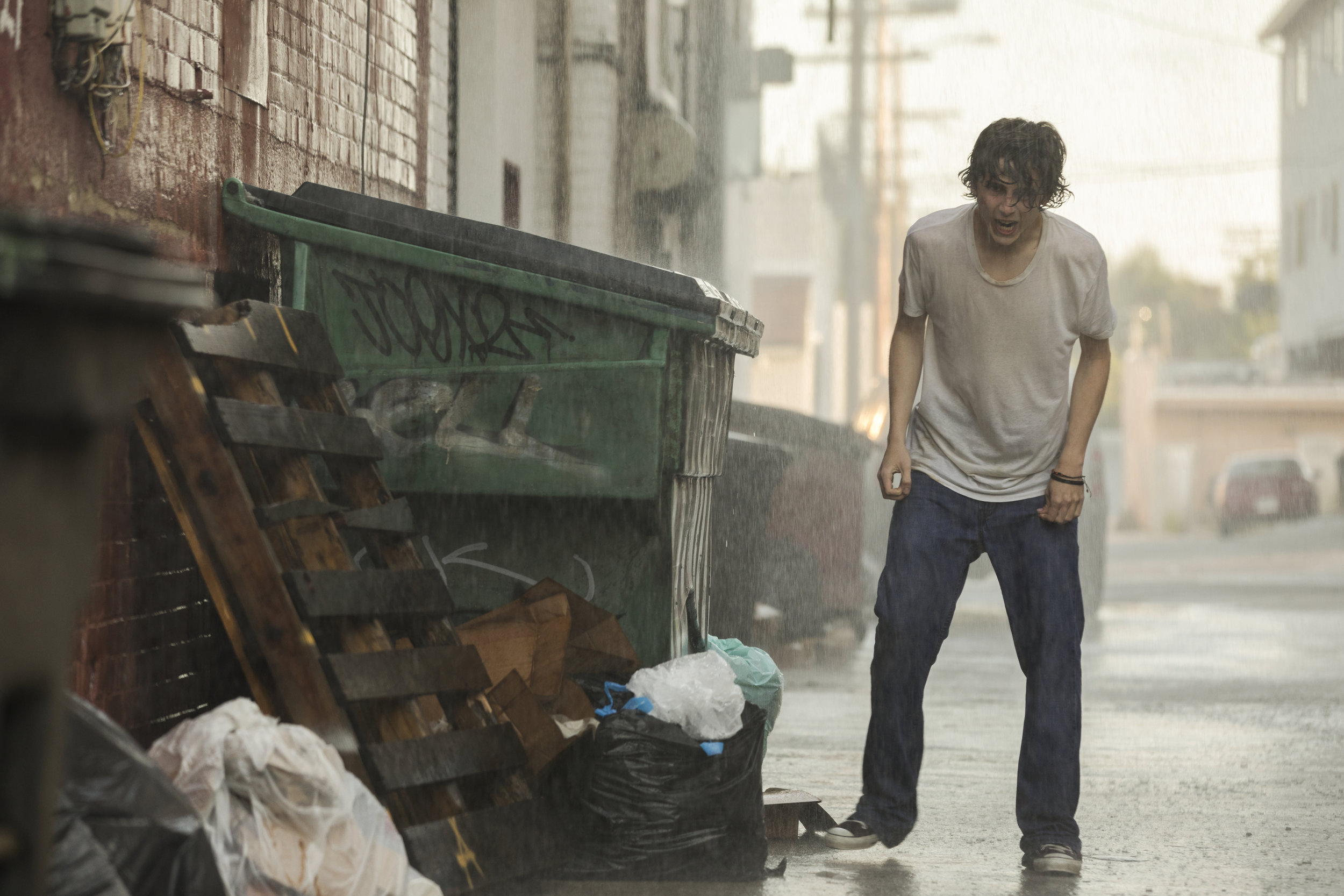 Timothée Chalamet in Beautiful Boy