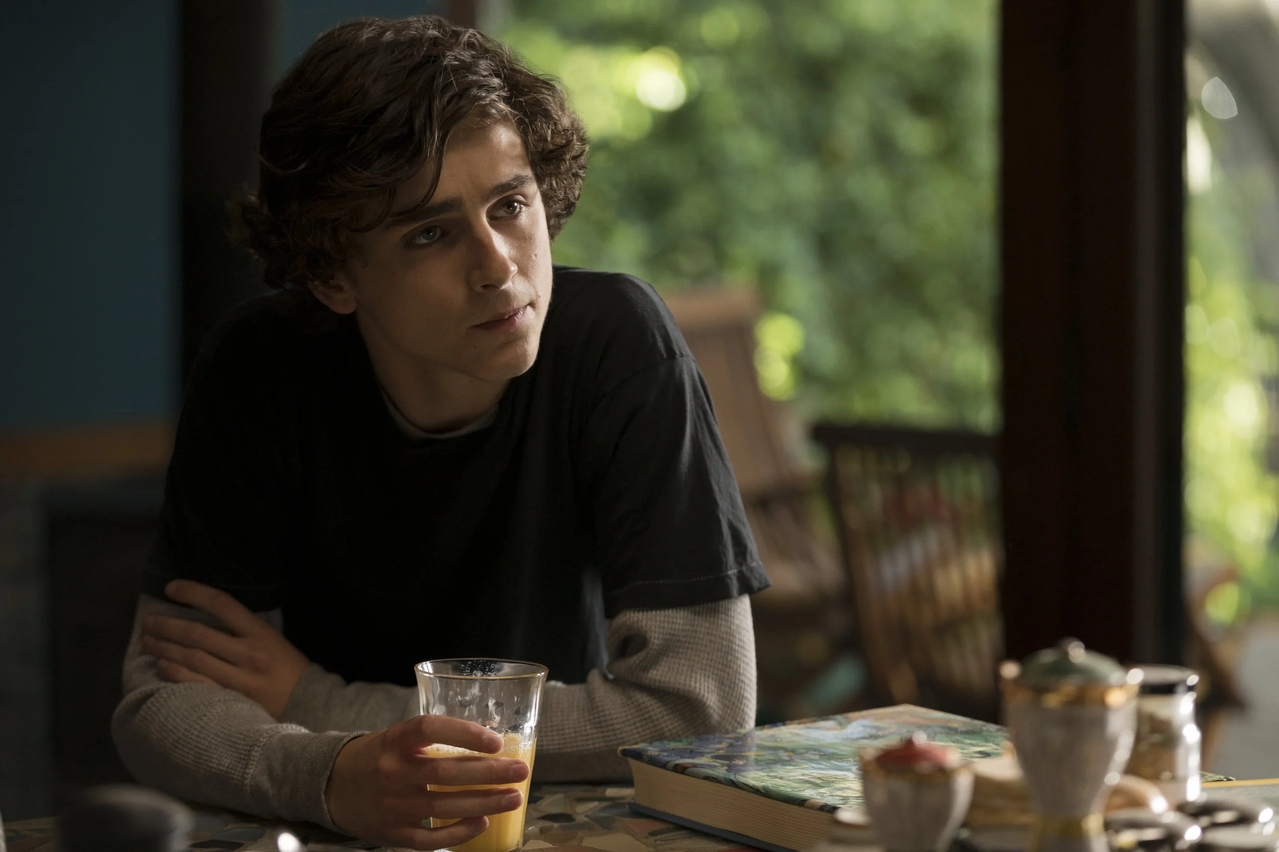 Timothée Chalamet in Beautiful Boy