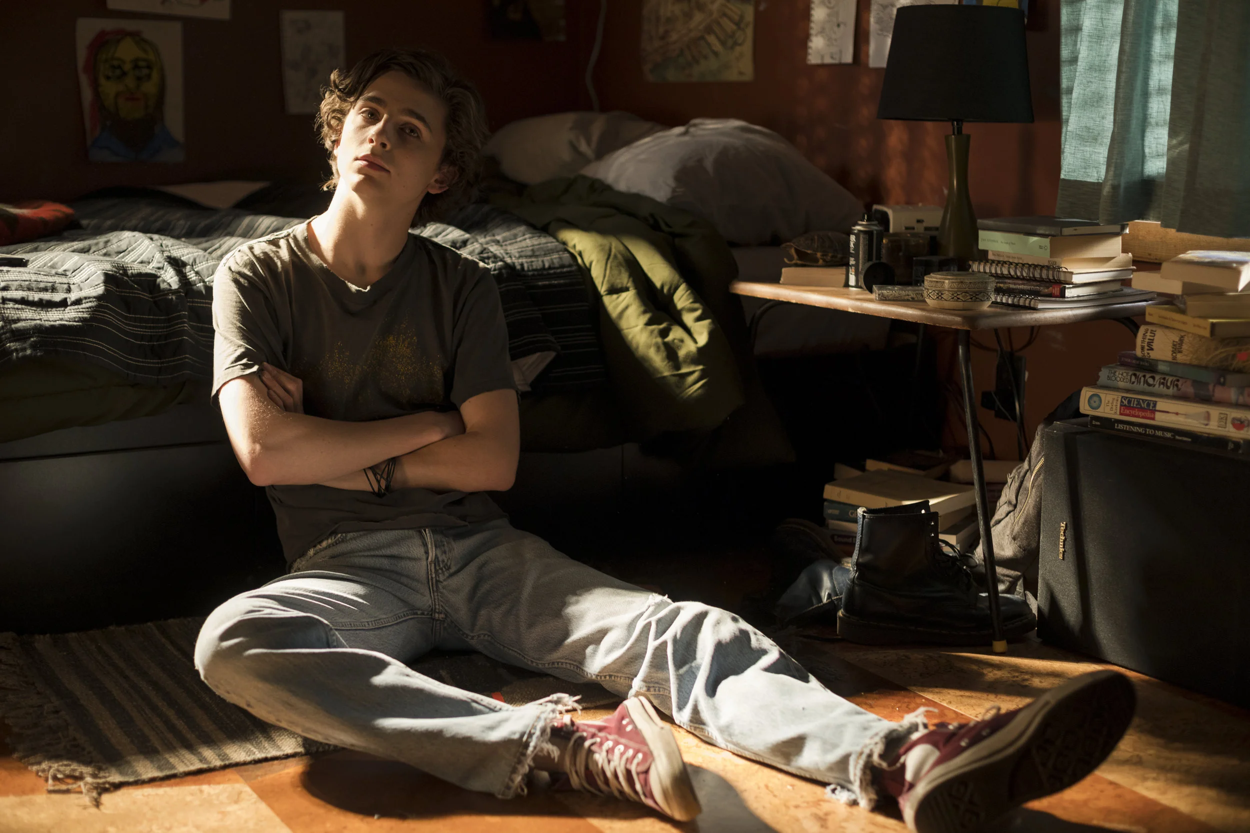 Timothée Chalamet in Beautiful Boy