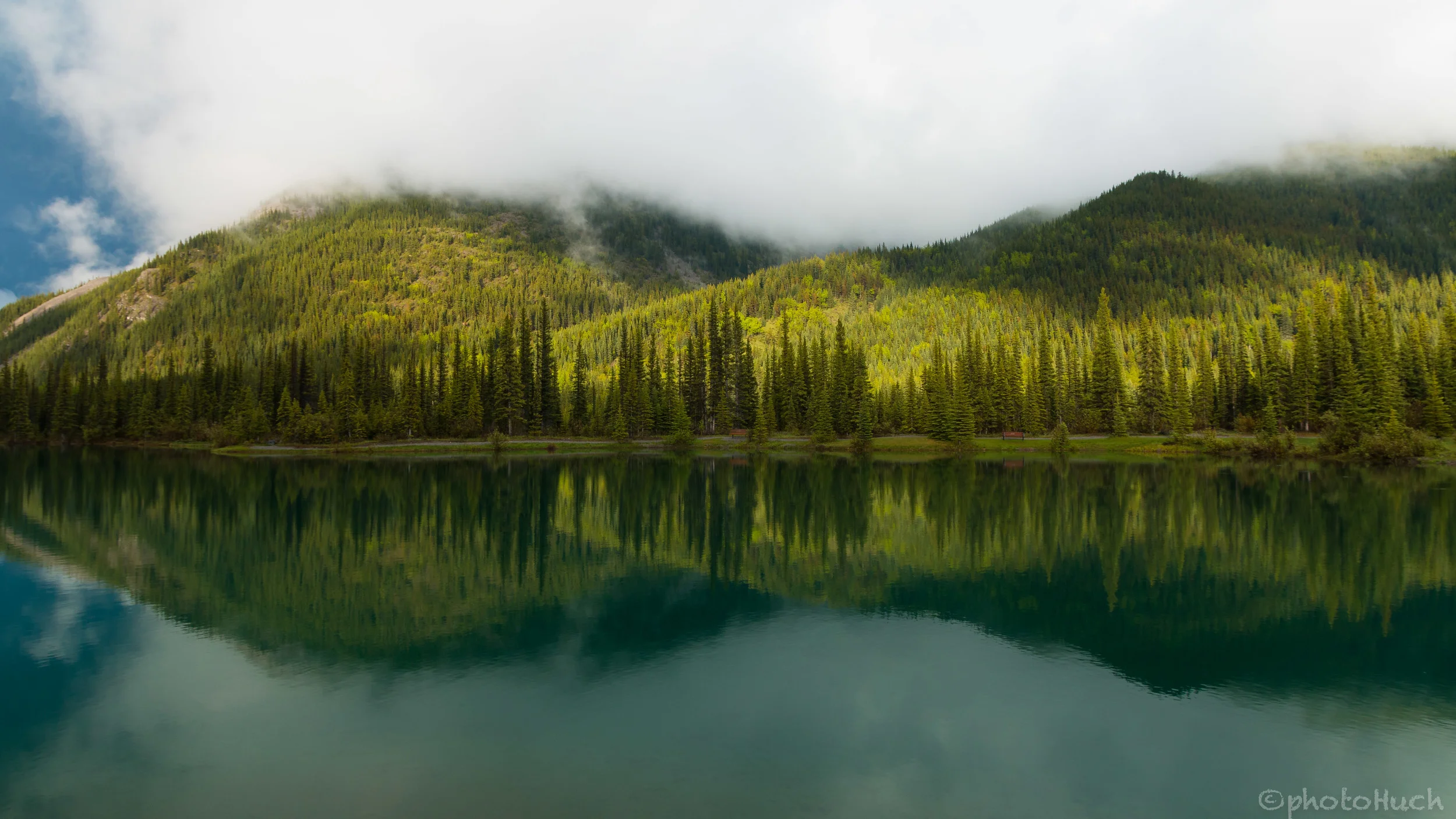 Forgetmenot Pond-June 14, 2014-3.jpg