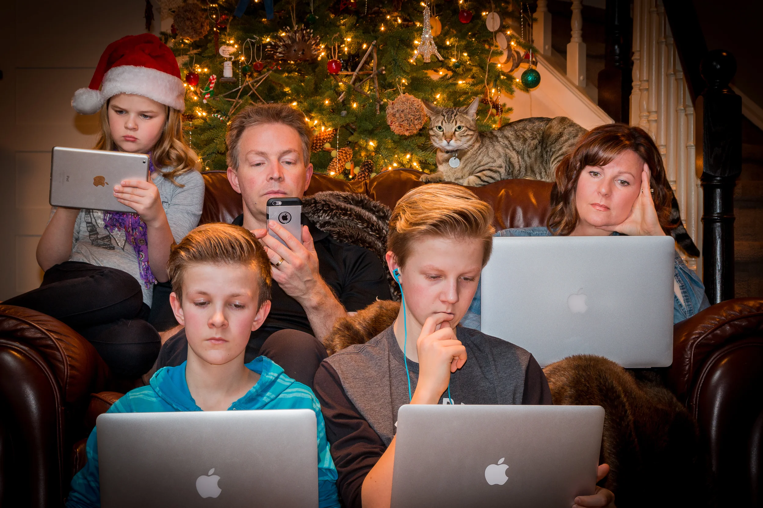 The Christmas Browns (1 of 1).jpg