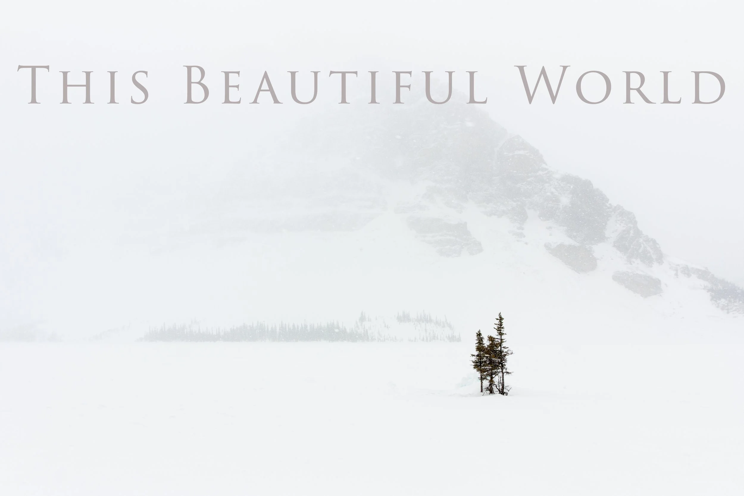 Bow lake cover.jpg