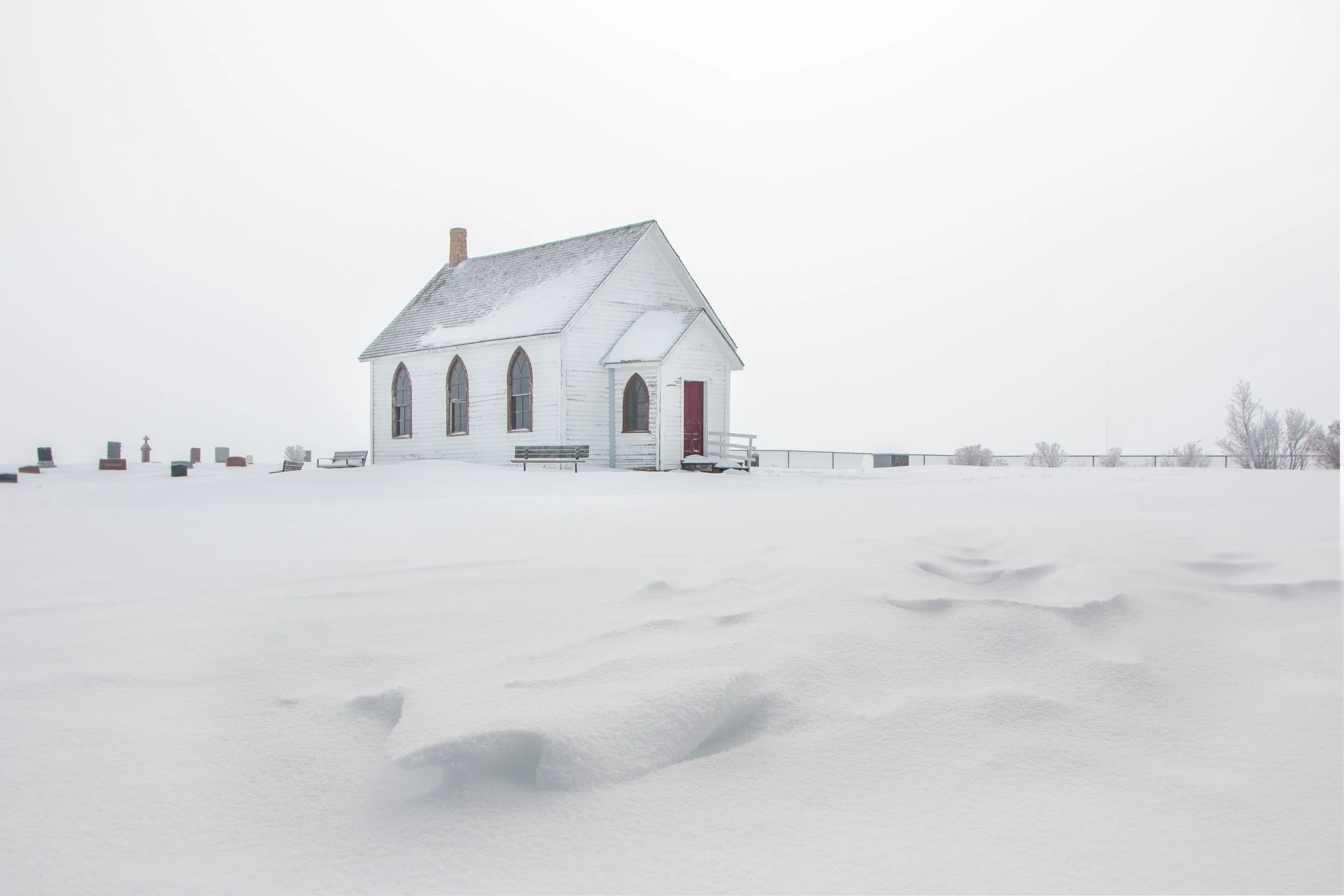 Analog Flex (1248 of 1).jpg