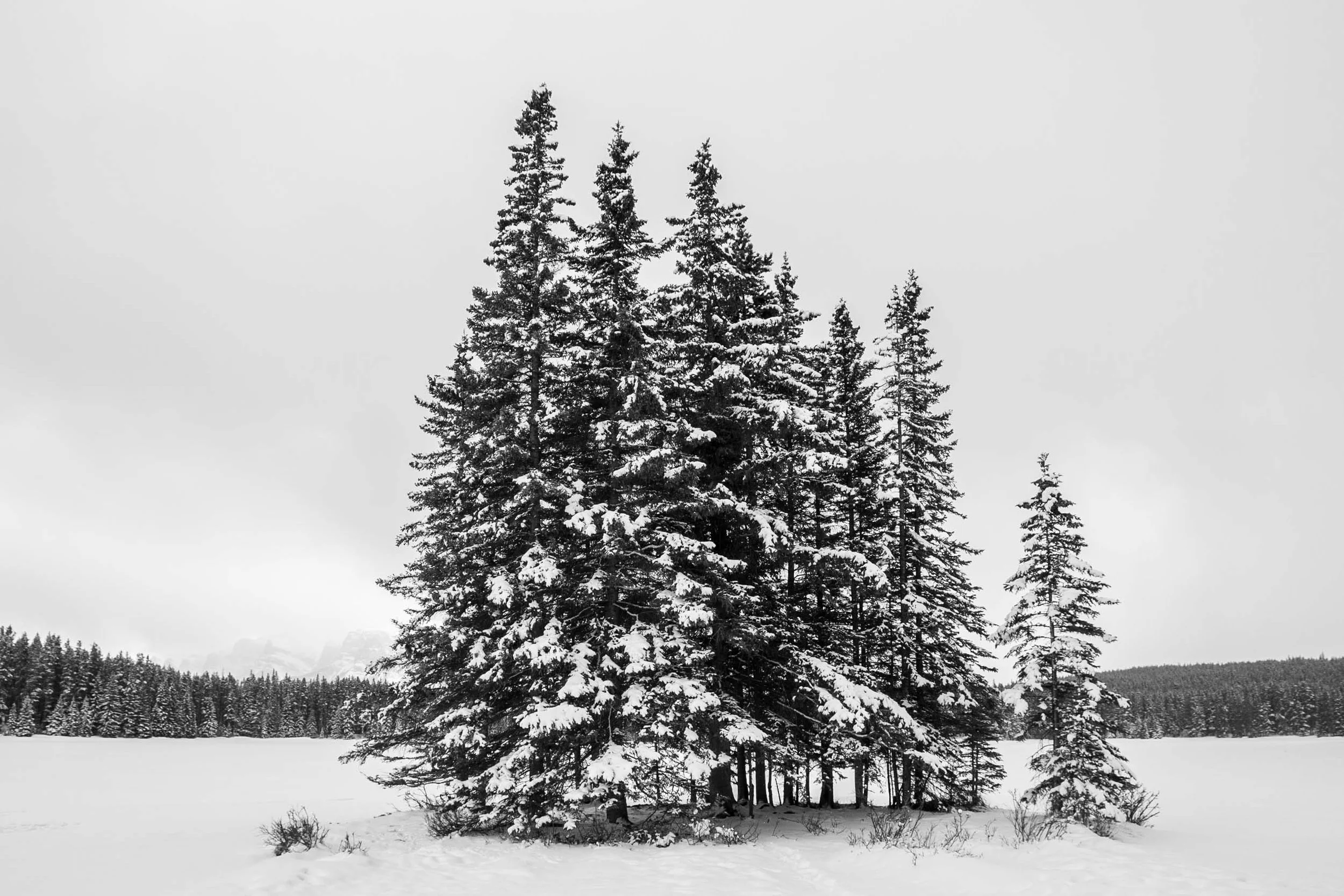 20230325-IMG_2013-2.jpg