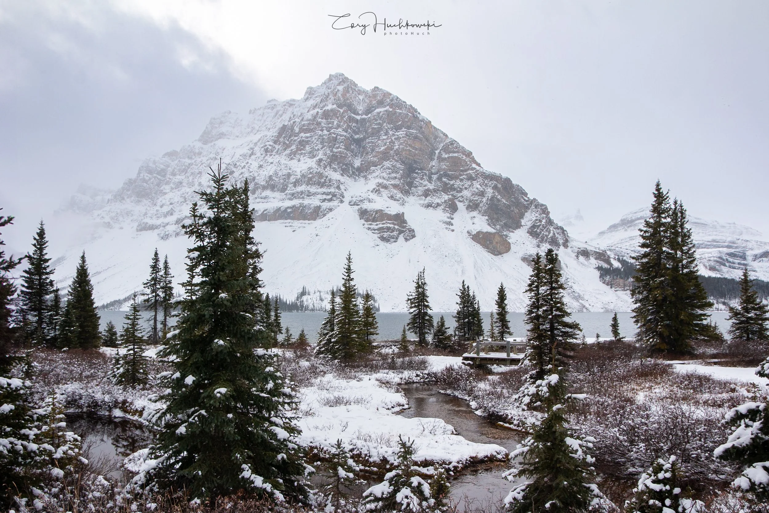 Wedge Pond 2024-24.jpg