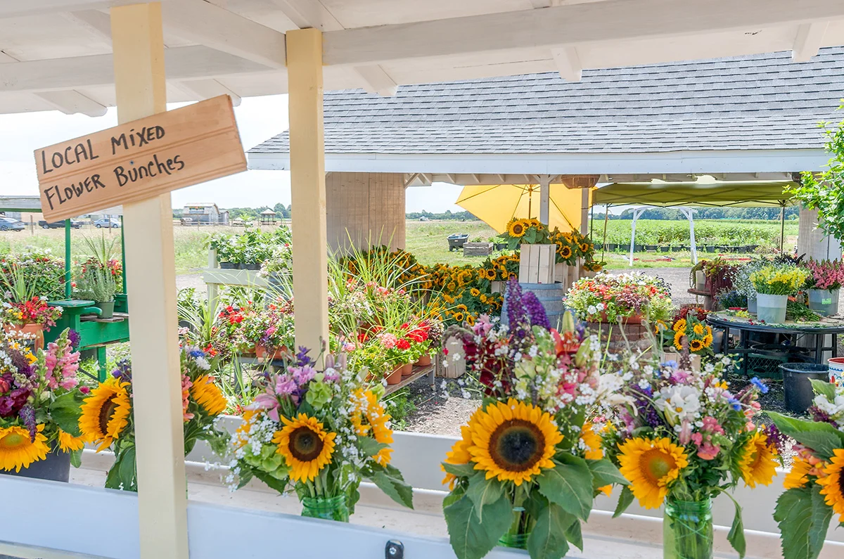 Flowers for sale