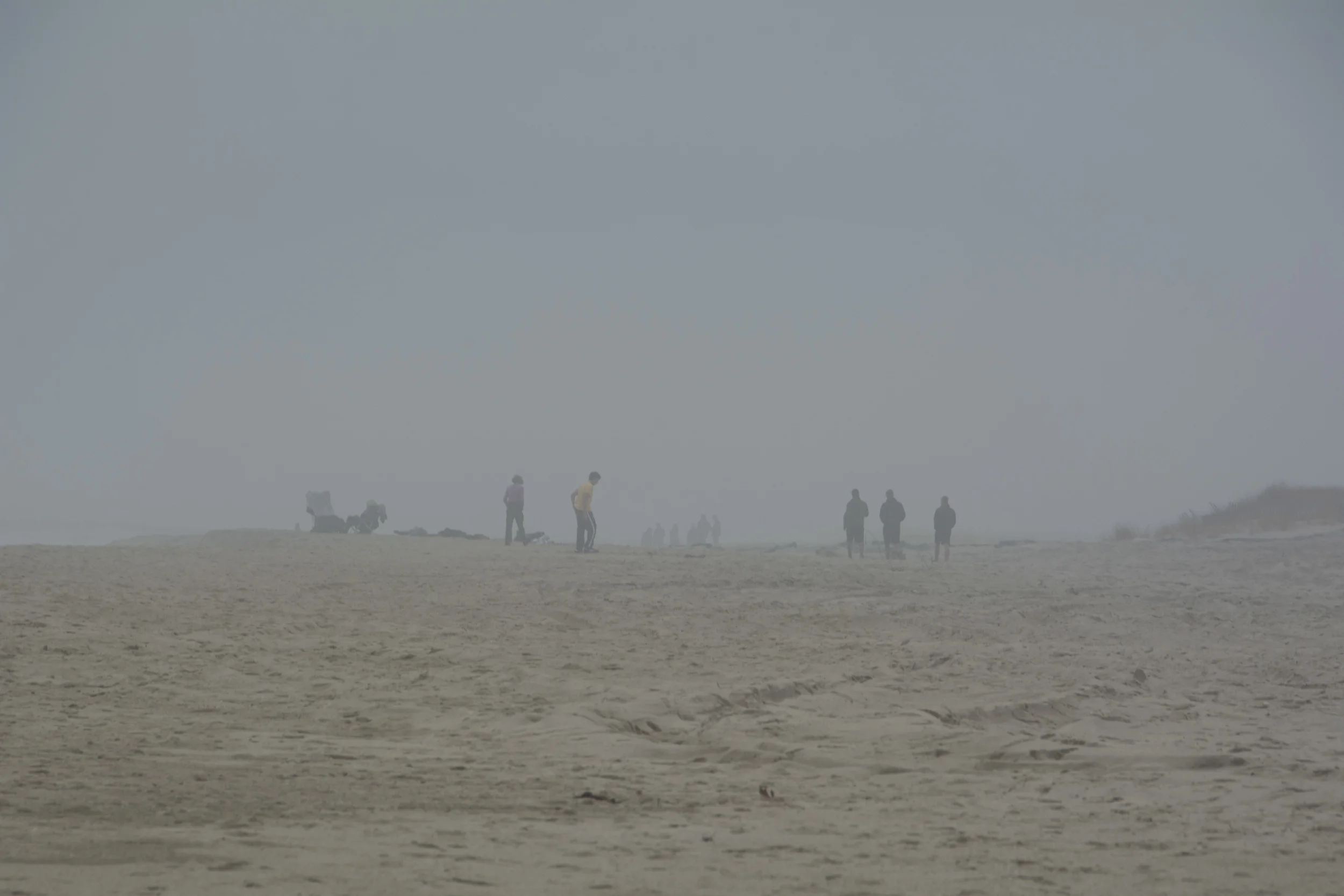 DSC_3979.JPG