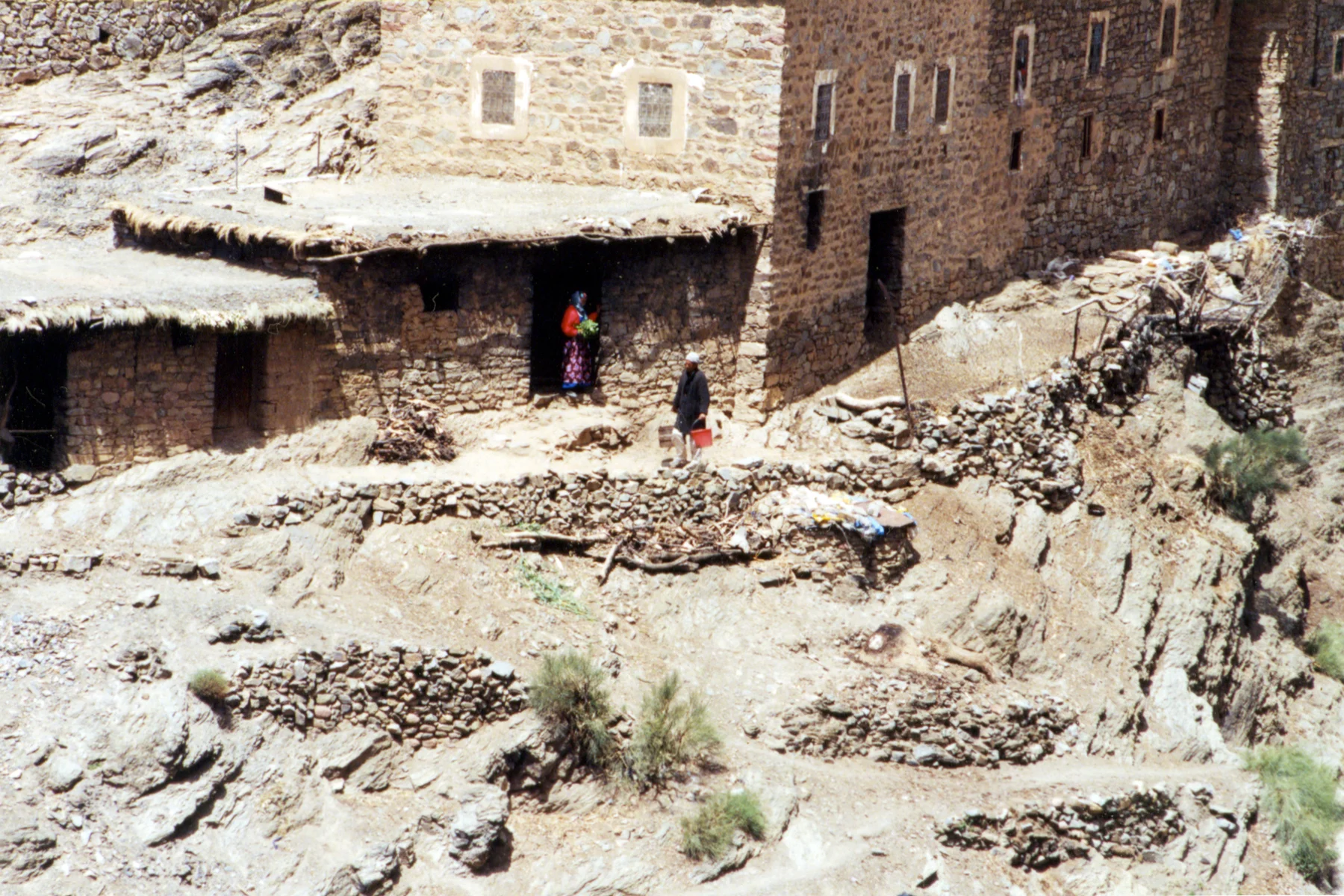 Image_18.jpg