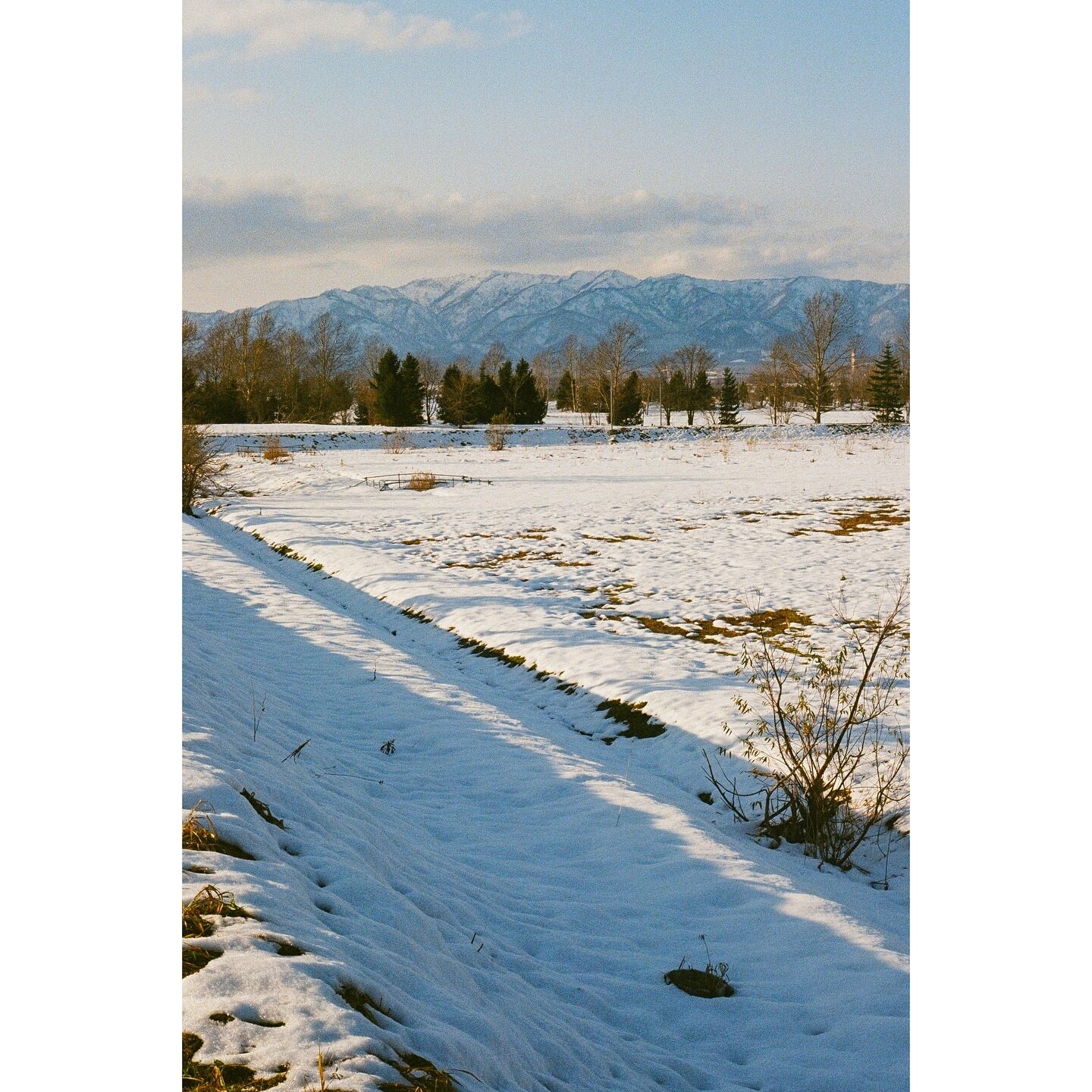Looking toward the Shokanbetsudake Mountains, Hokkaido
.
#35mm #infilmwetrust #analogphotography #filmphotography #analogfilm #thefilmrenaissance #moderndayanalogue #filmisnotdead #thefilmstead #restorefrombackup #negativemag #naturefilmed #madewithk