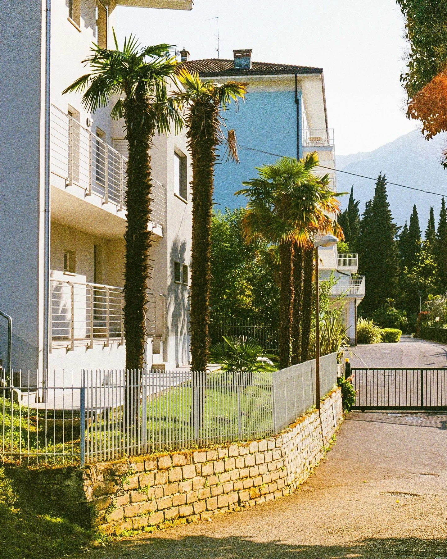 Riva Del Garda, Italy
Ultramax 400 🎞️
🌴🌴🌴
#35mm #infilmwetrust #analogphotography #filmphotography #analogfilm #thefilmrenaissance #moderndayanalogue #filmisnotdead #thefilmstead #restorefrombackup #negativemag #naturefilmed #madewithkodak #solar