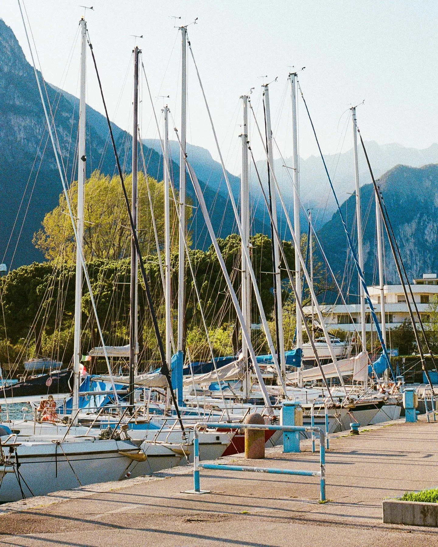 Lake Garda 
Kodak Ultramax 400
⛵️⛵️⛵️
#35mm #infilmwetrust #analogphotography #filmphotography #analogfilm #thefilmrenaissance #moderndayanalogue #filmisnotdead #thefilmstead #restorefrombackup #negativemag #naturefilmed #madewithkodak #solarcollecti