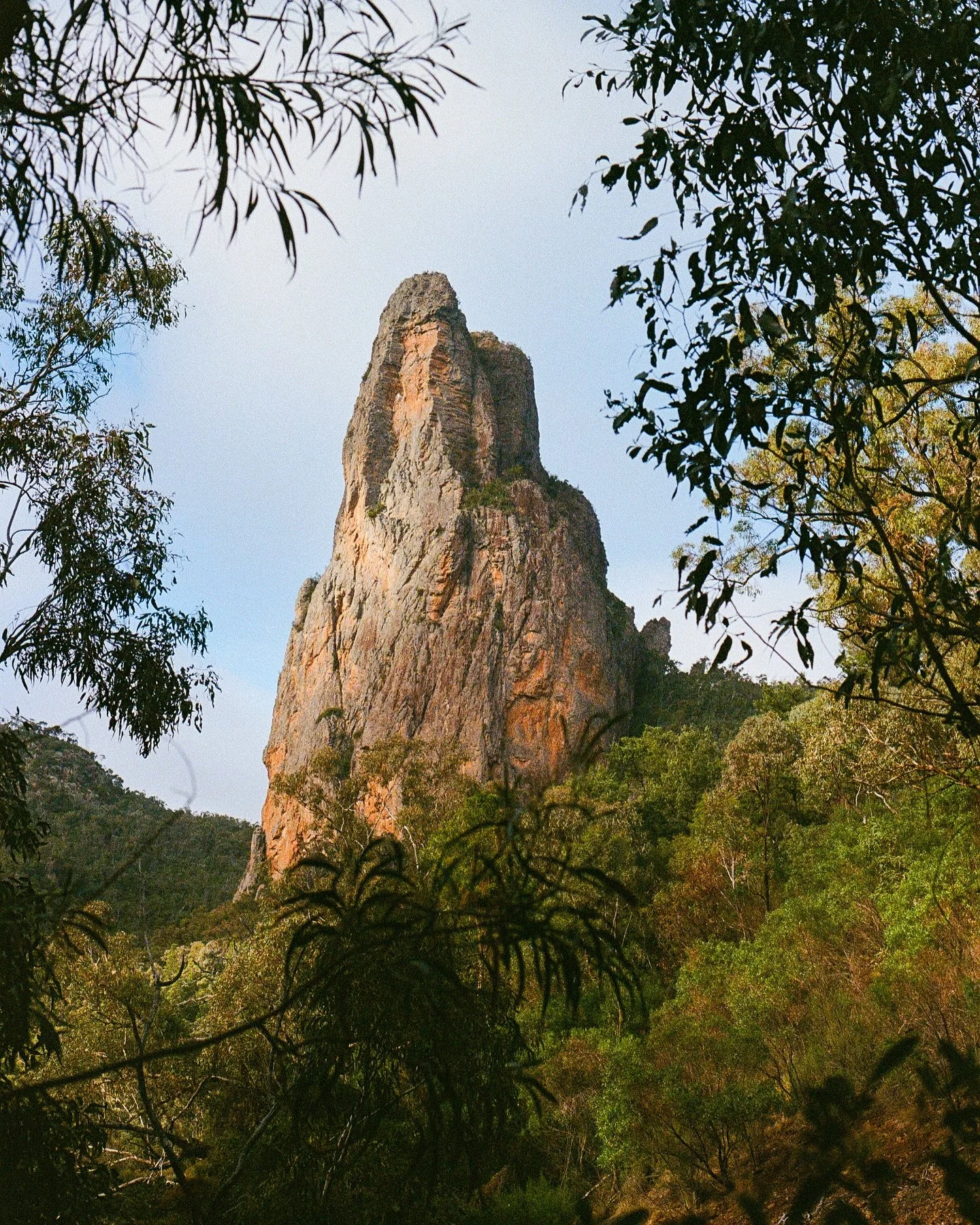 The Warrumbungles, NSW
Shot on Kodak Ultramax, always.
@nswnationalparks 

#35mm #infilmwetrust #analogphotography #filmphotography #analogfilm #thefilmrenaissance #moderndayanalogue #filmisnotdead #thefilmstead #restorefrombackup #negativemag #natur