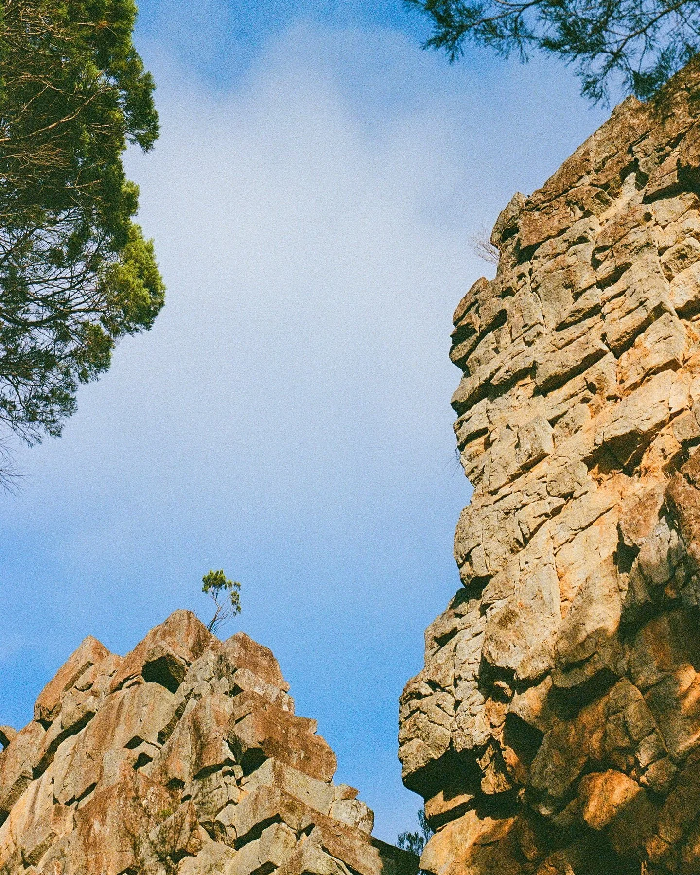 The Warrumbungles, NSW
Shot on Ultramax, always.
@nswnationalparks 

#35mm #infilmwetrust #analogphotography #filmphotography #analogfilm #thefilmrenaissance #moderndayanalogue #filmisnotdead #thefilmstead #restorefrombackup #negativemag #naturefilme