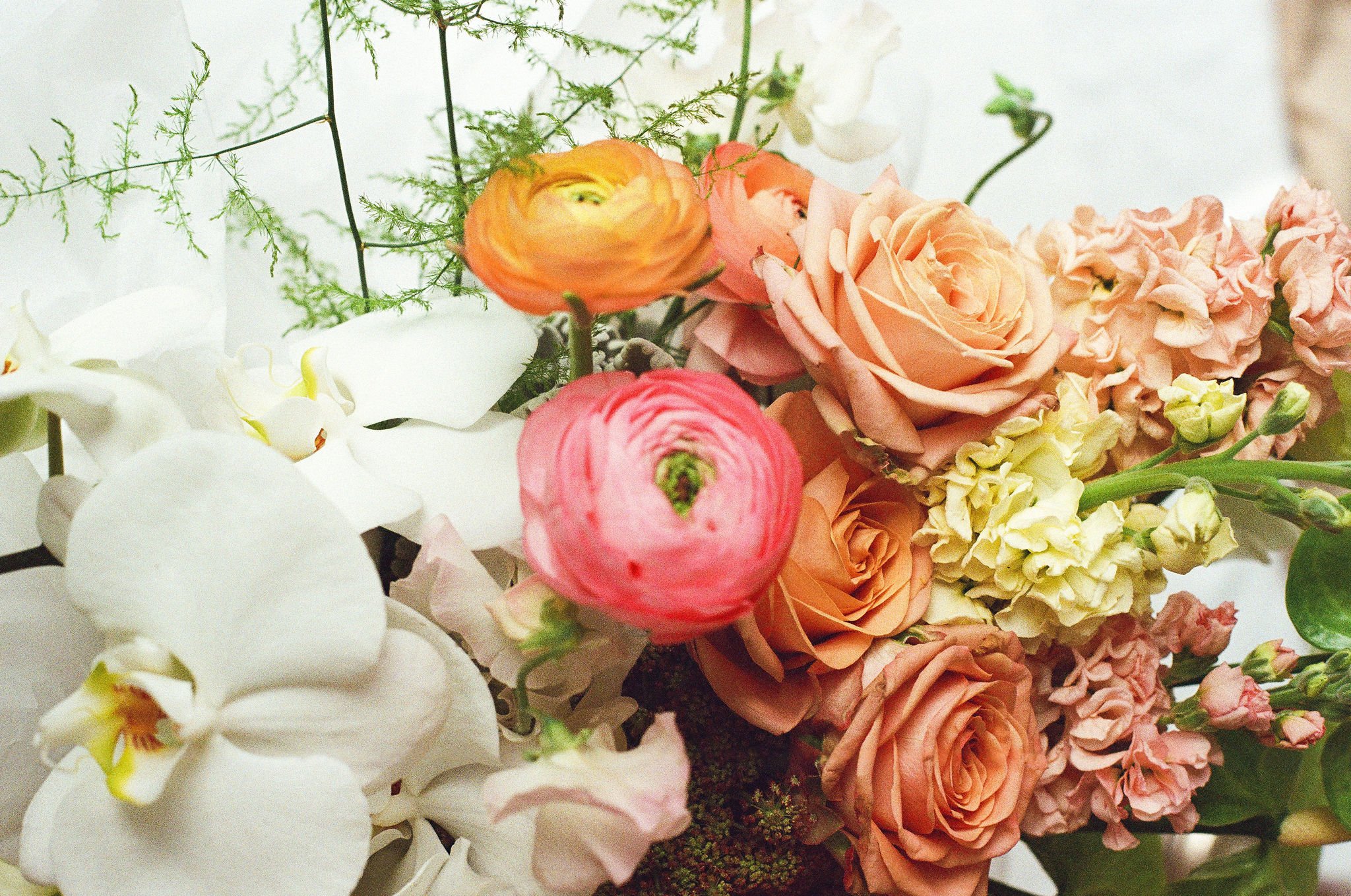 35mm film analog wedding photography melbourne