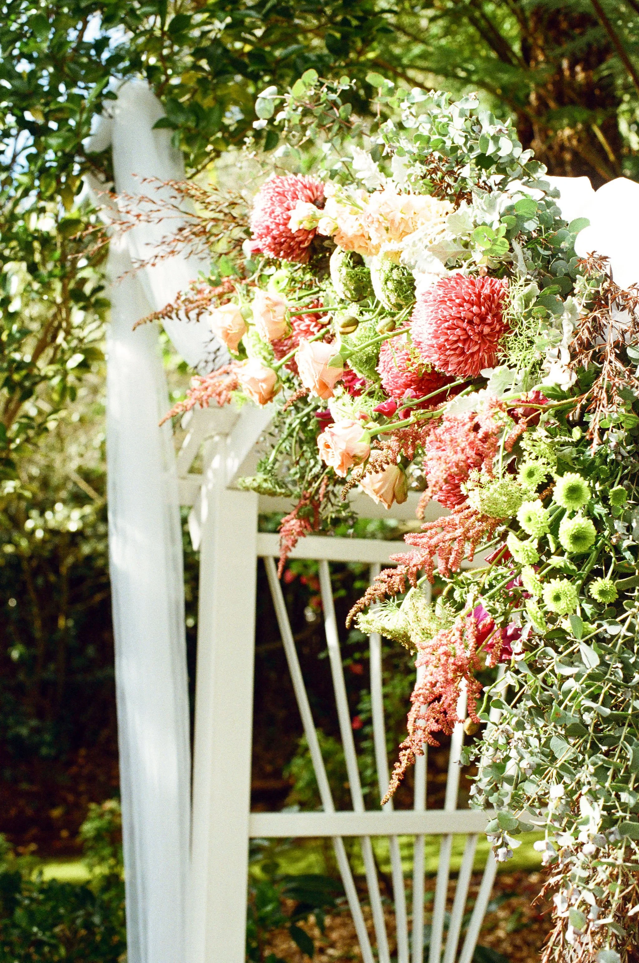 35mm film analog wedding photography melbourne