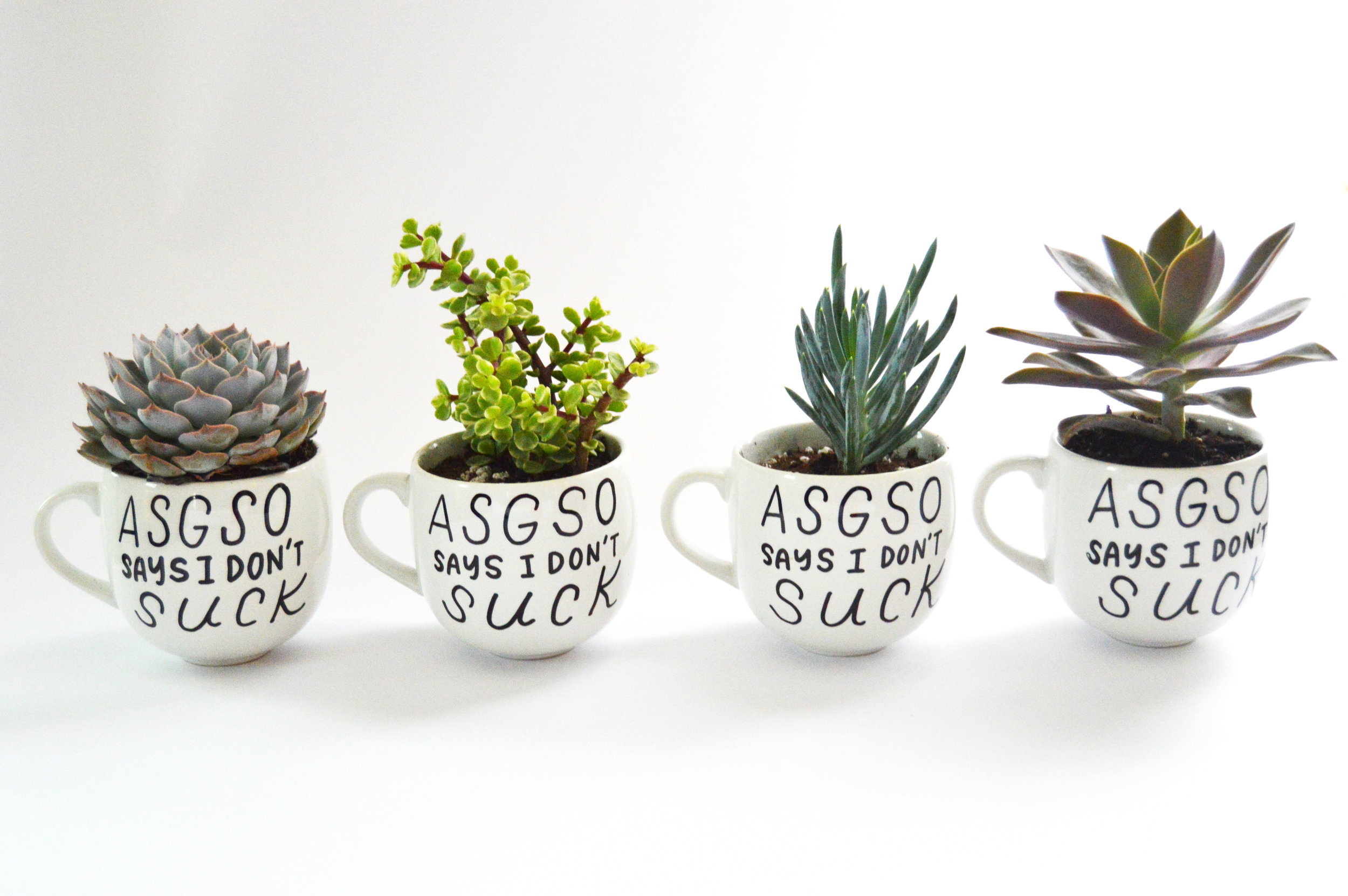 ASGSO mugs.jpg