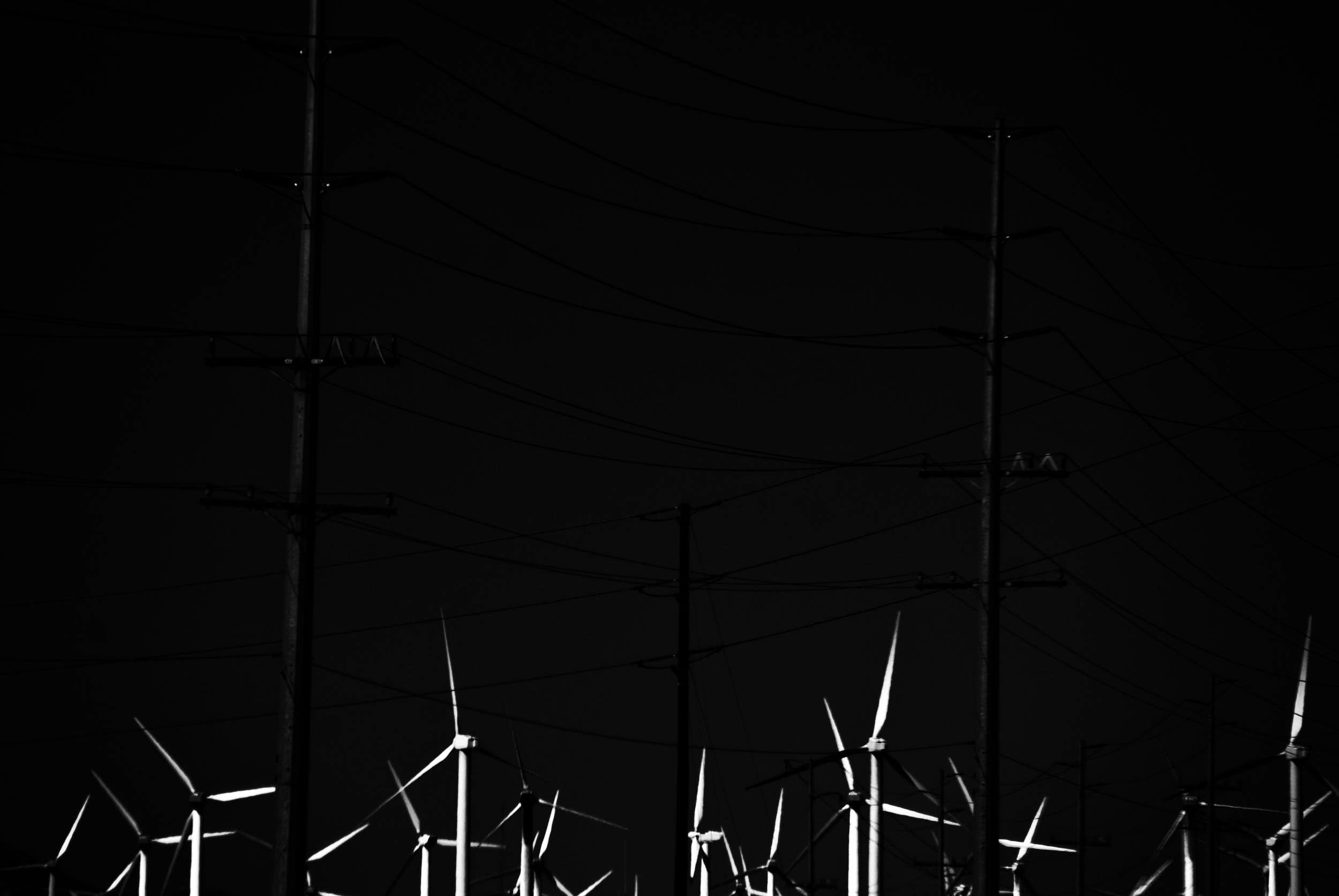 bw windmills.jpg
