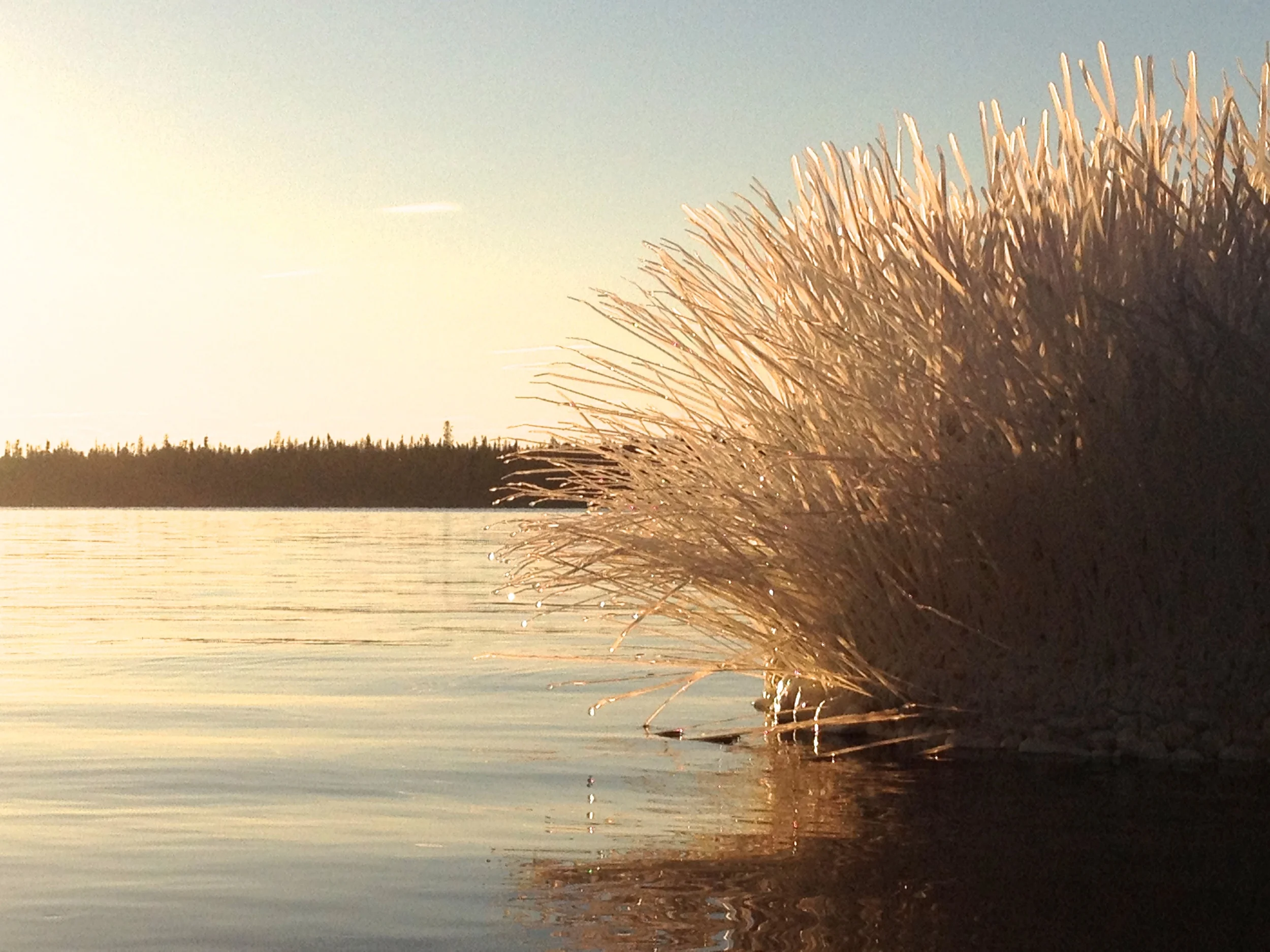   plastic, spray foam, wire, speakers and sound&nbsp; 5x4x2 ft.   July 2014    