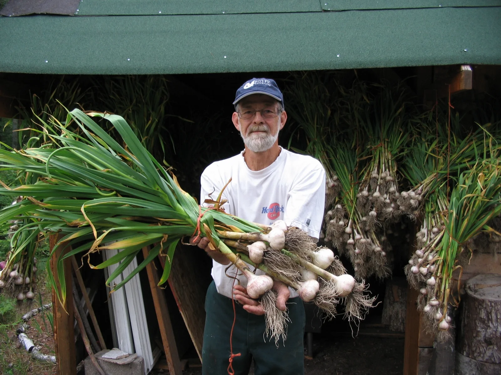 Michigan Garlic Farm & Hardneck Garlic