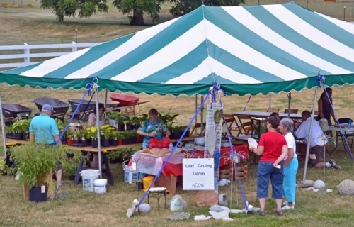 Tollgate Plant Sale Fund-raiser, Novi, Free Admission