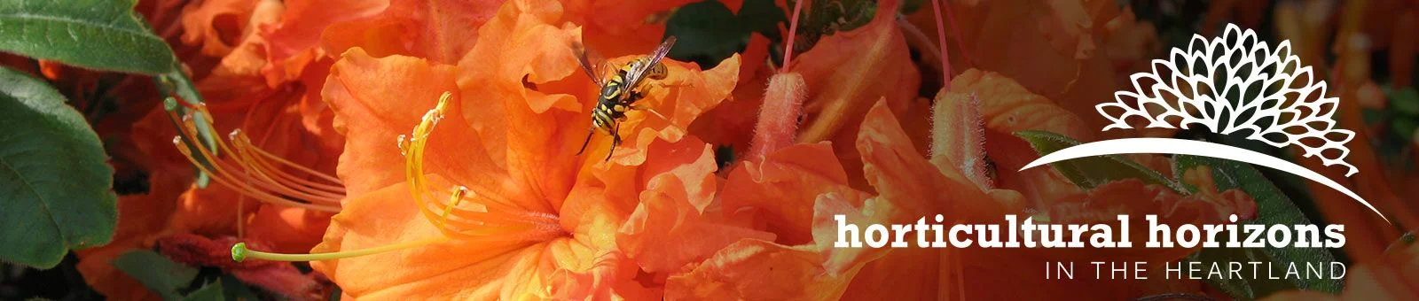 International Master Gardener Conference