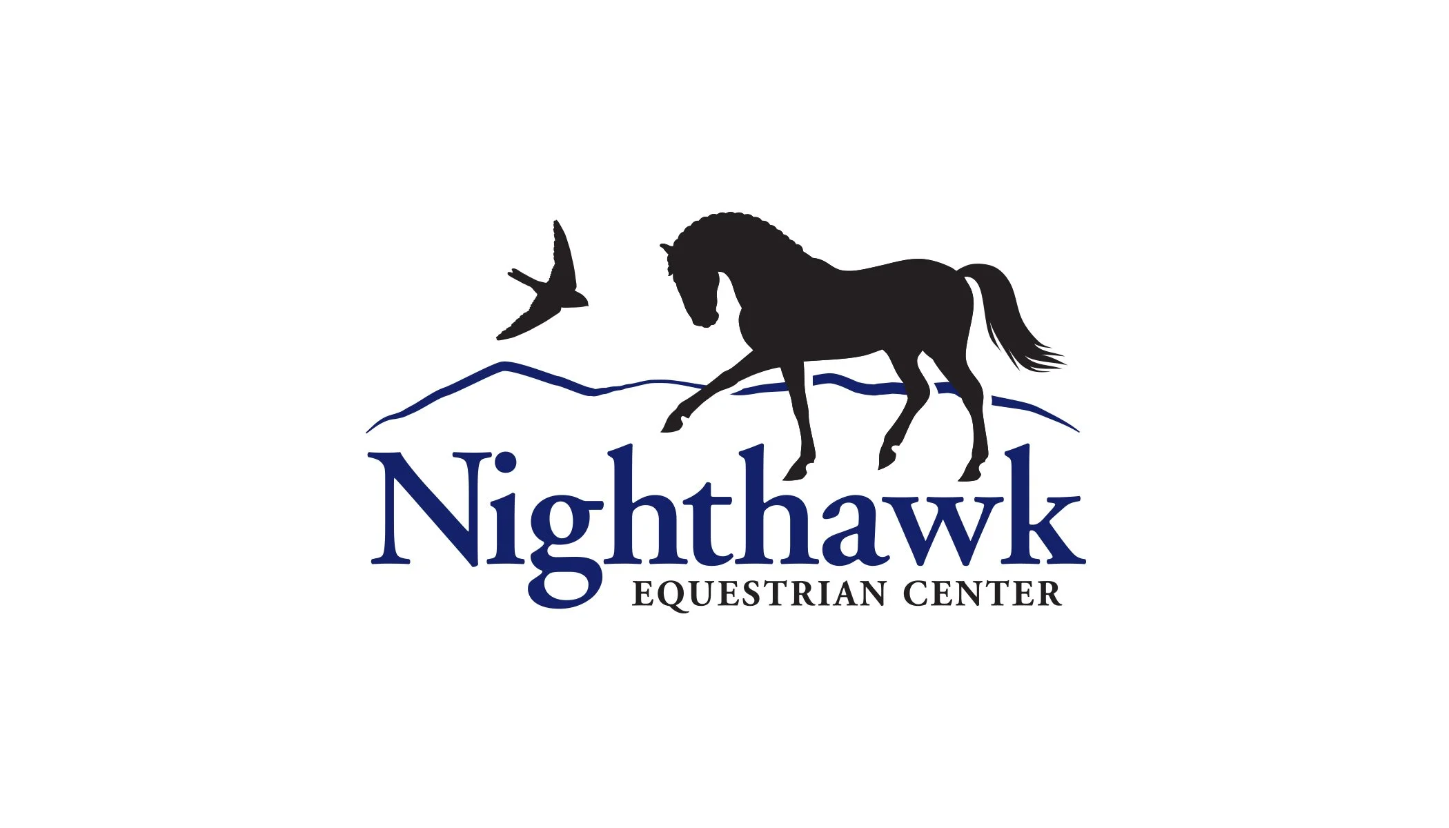 *Nighthawk.jpg