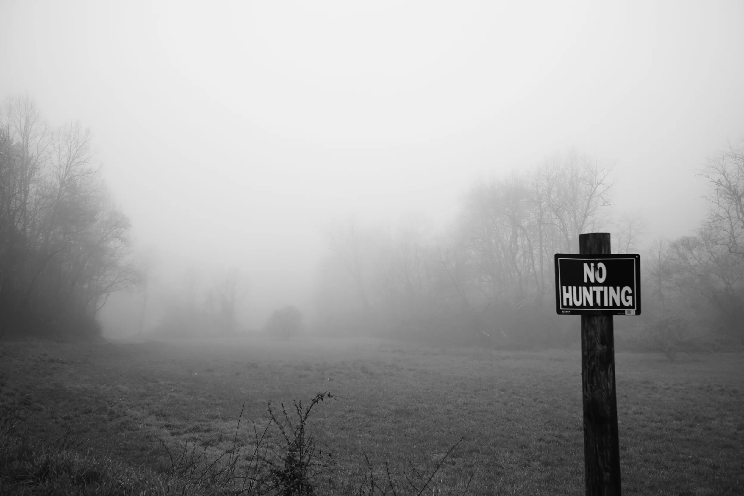 nohuntinglores.jpg