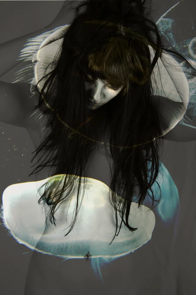 Bell_Jenny_PoisonHalo.jpg