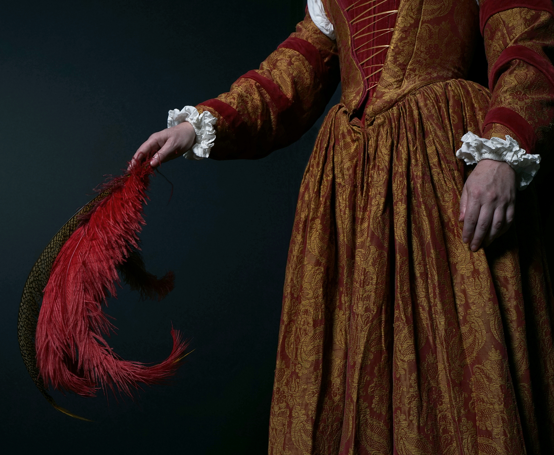 Plumage