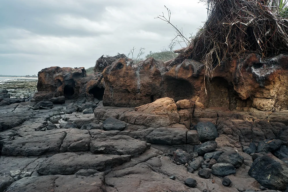 02_JennyBell_blacksand.jpg