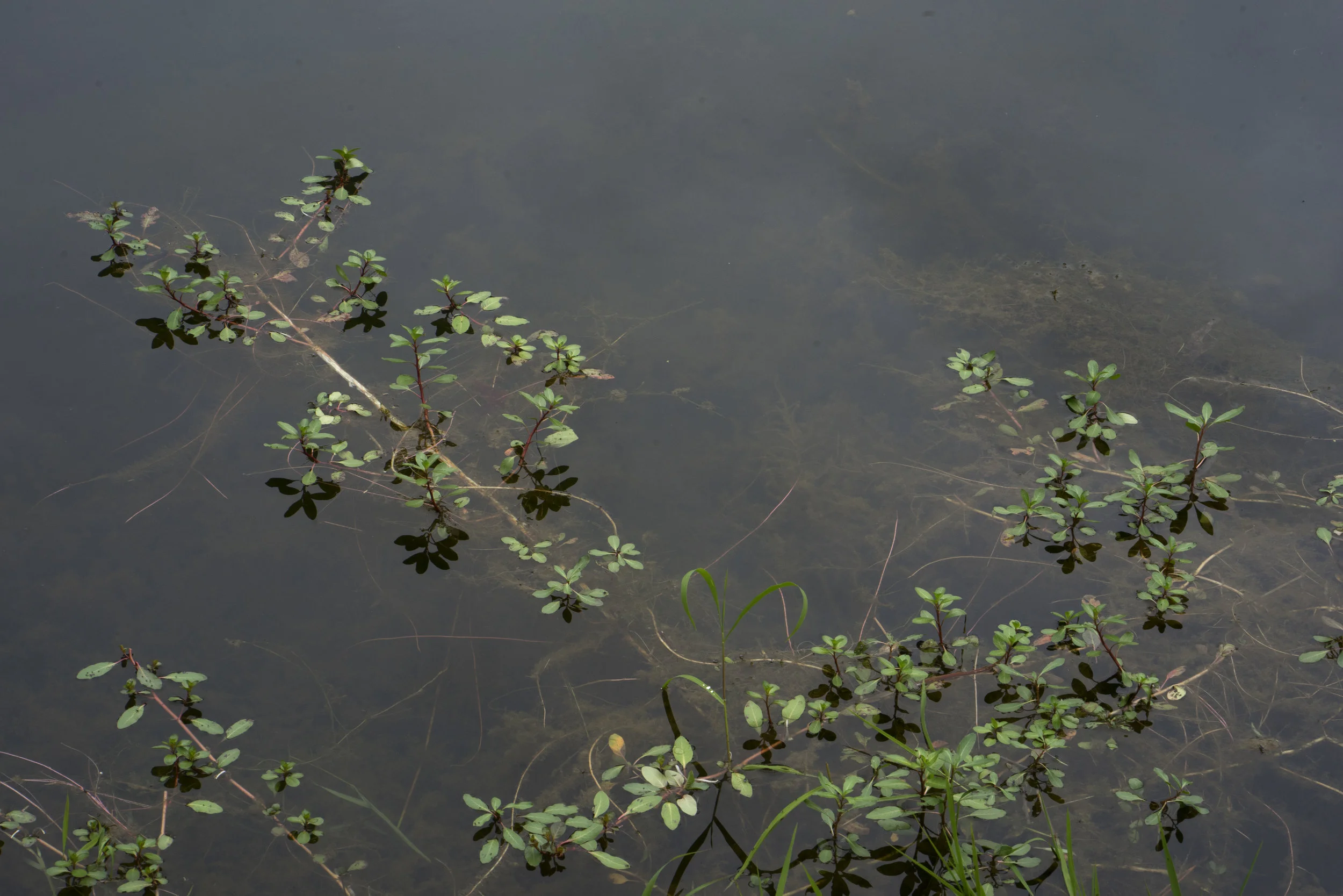 water texture 2.jpg