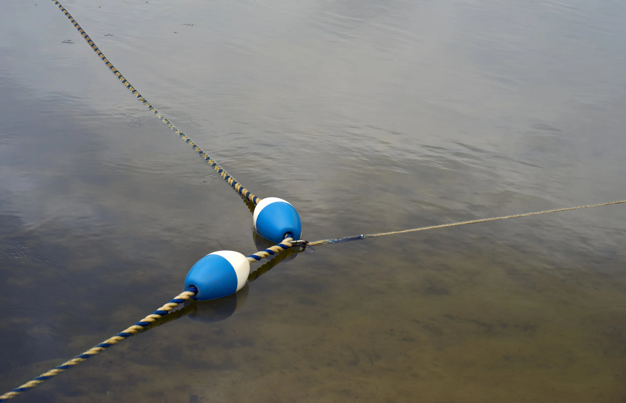 pine lake buoys.jpg