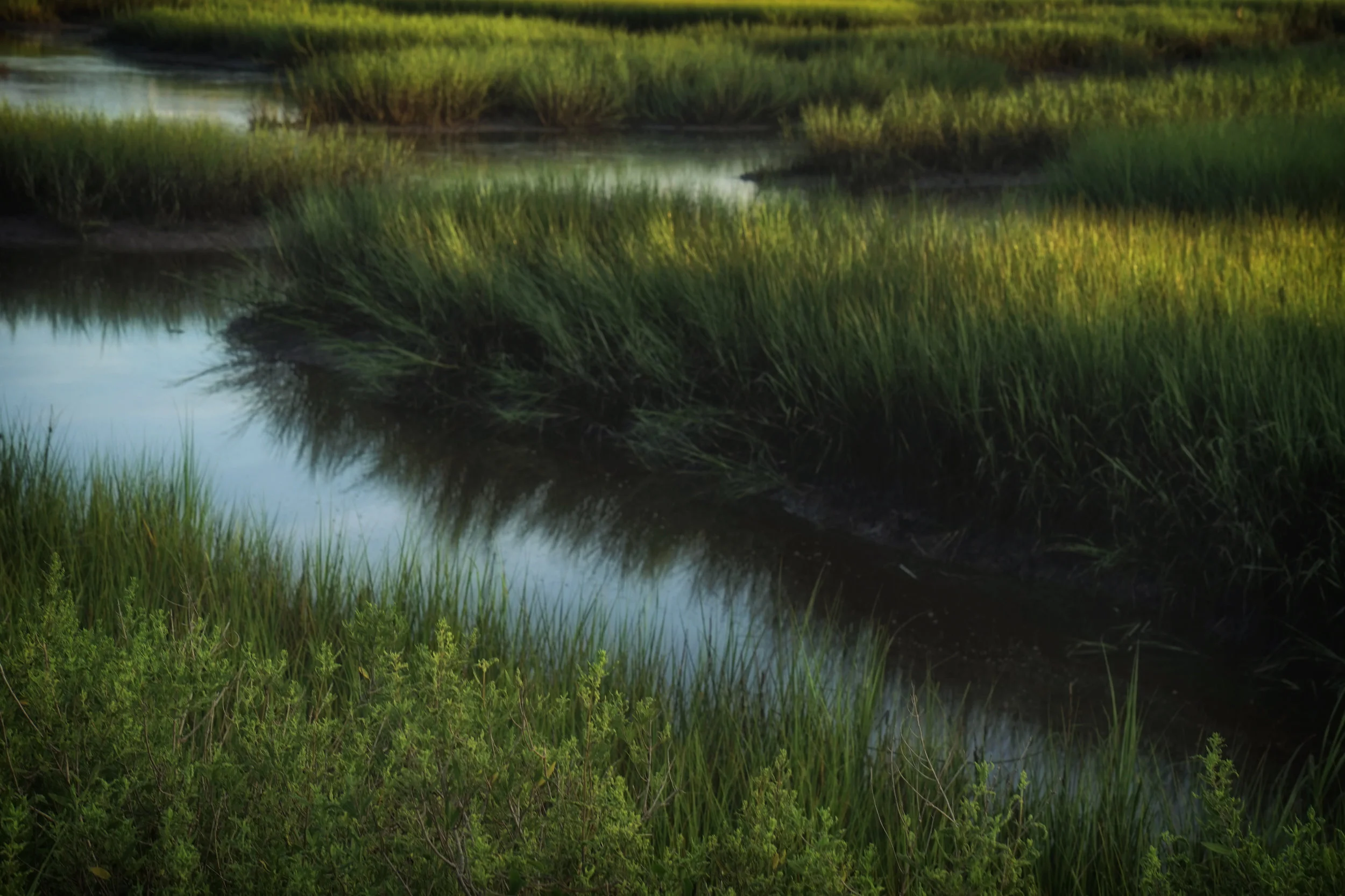 Egan's Creek.jpg