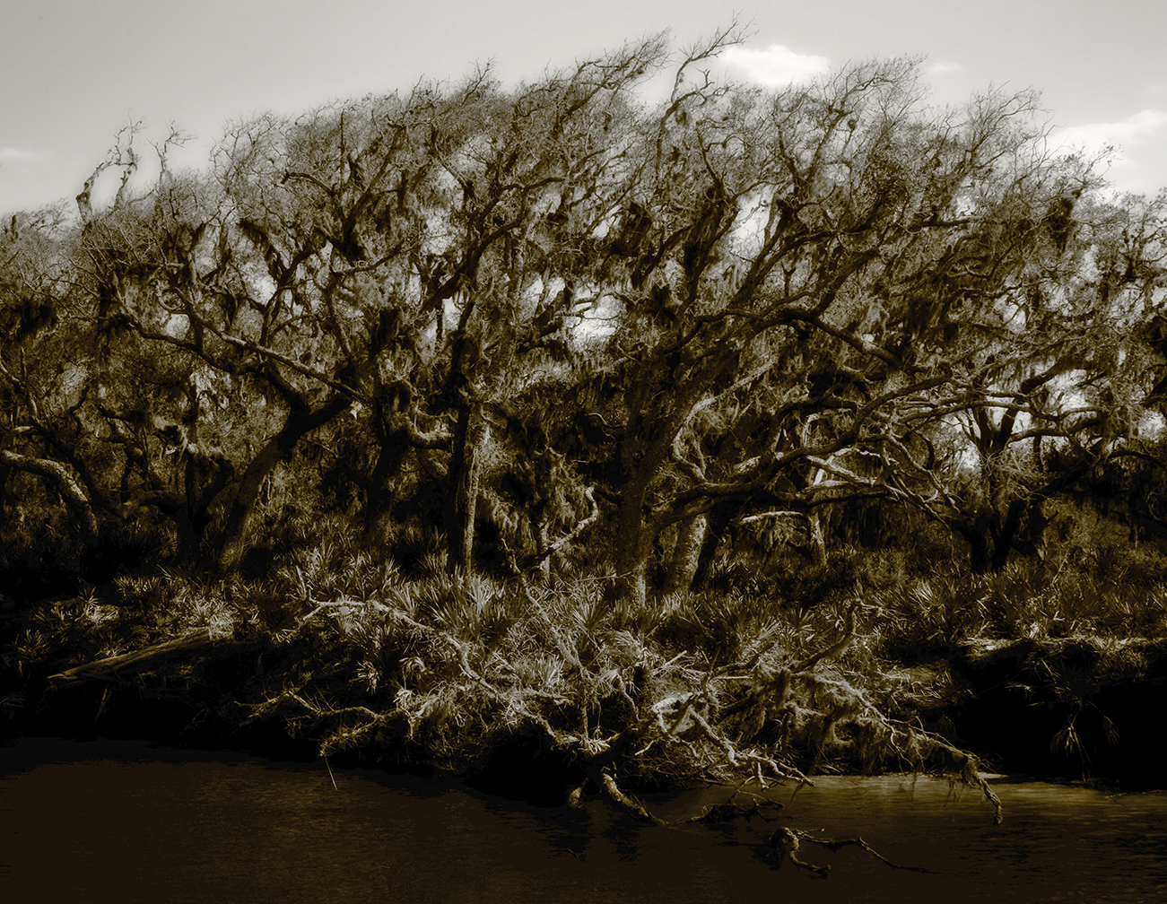 cumberland island