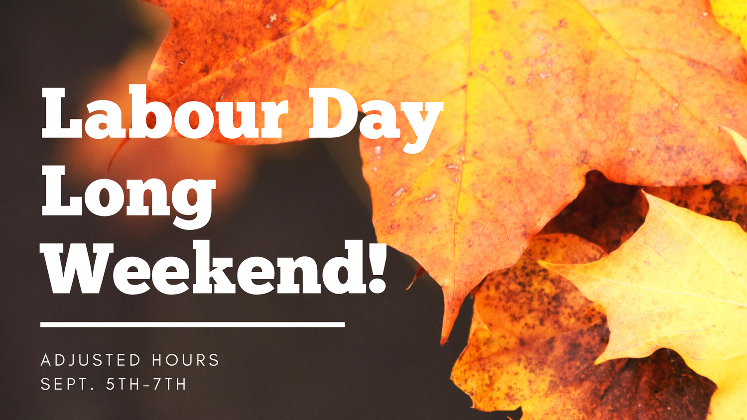 Stairhaus Inc. Custom Stair Design and Construction Stairhaus Blog