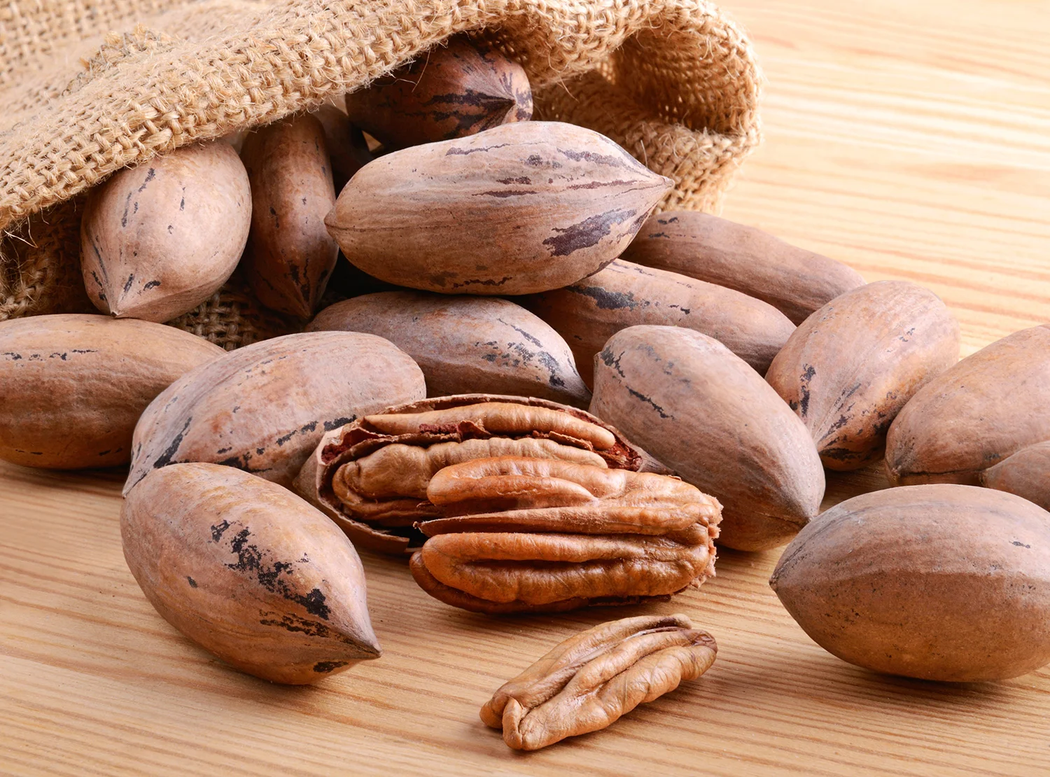 Summit_Premium_Nuts_Pecans_Inshell_web.jpg