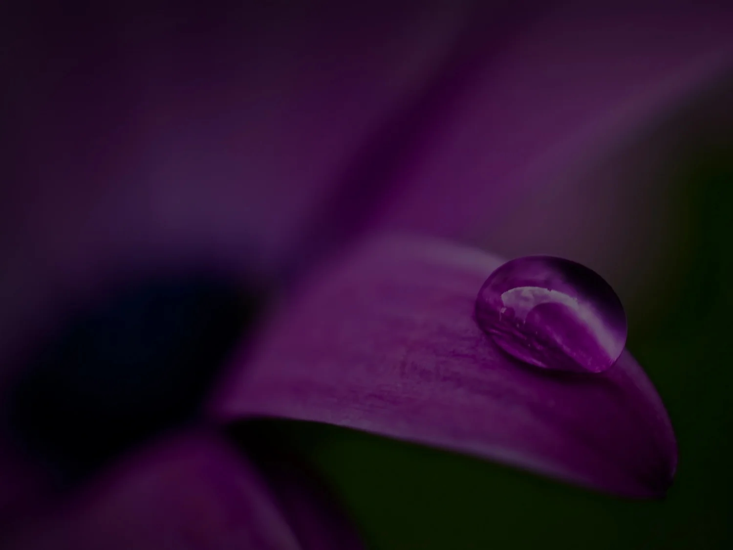 Banner-10.jpg