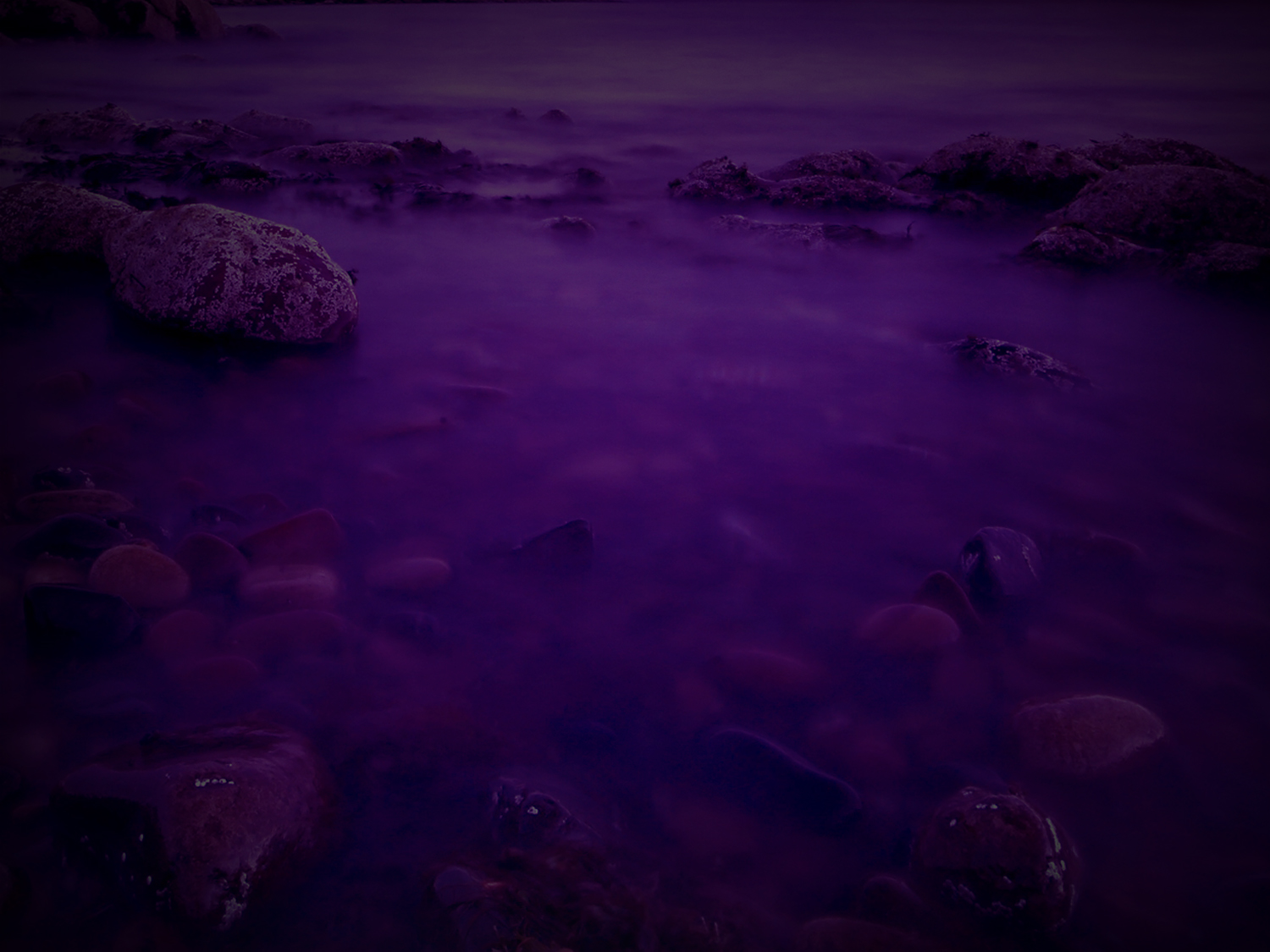 Banner-12.jpg