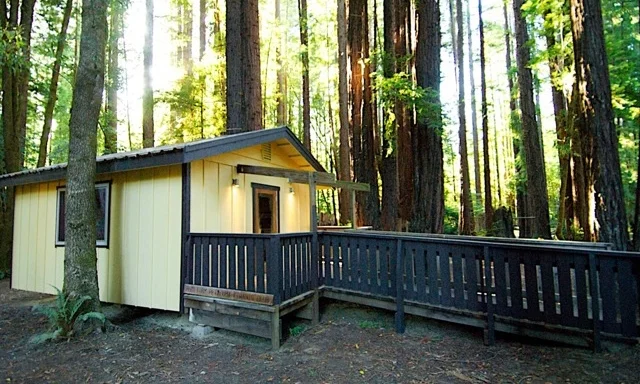 cabin1.jpg