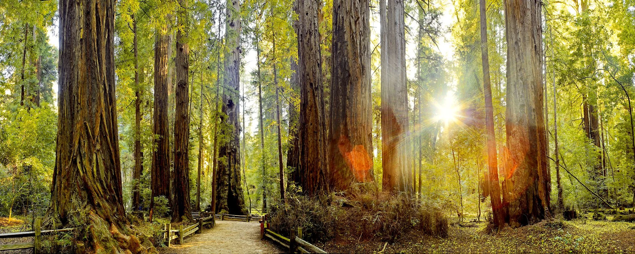 Hendy Woods State Park.jpg