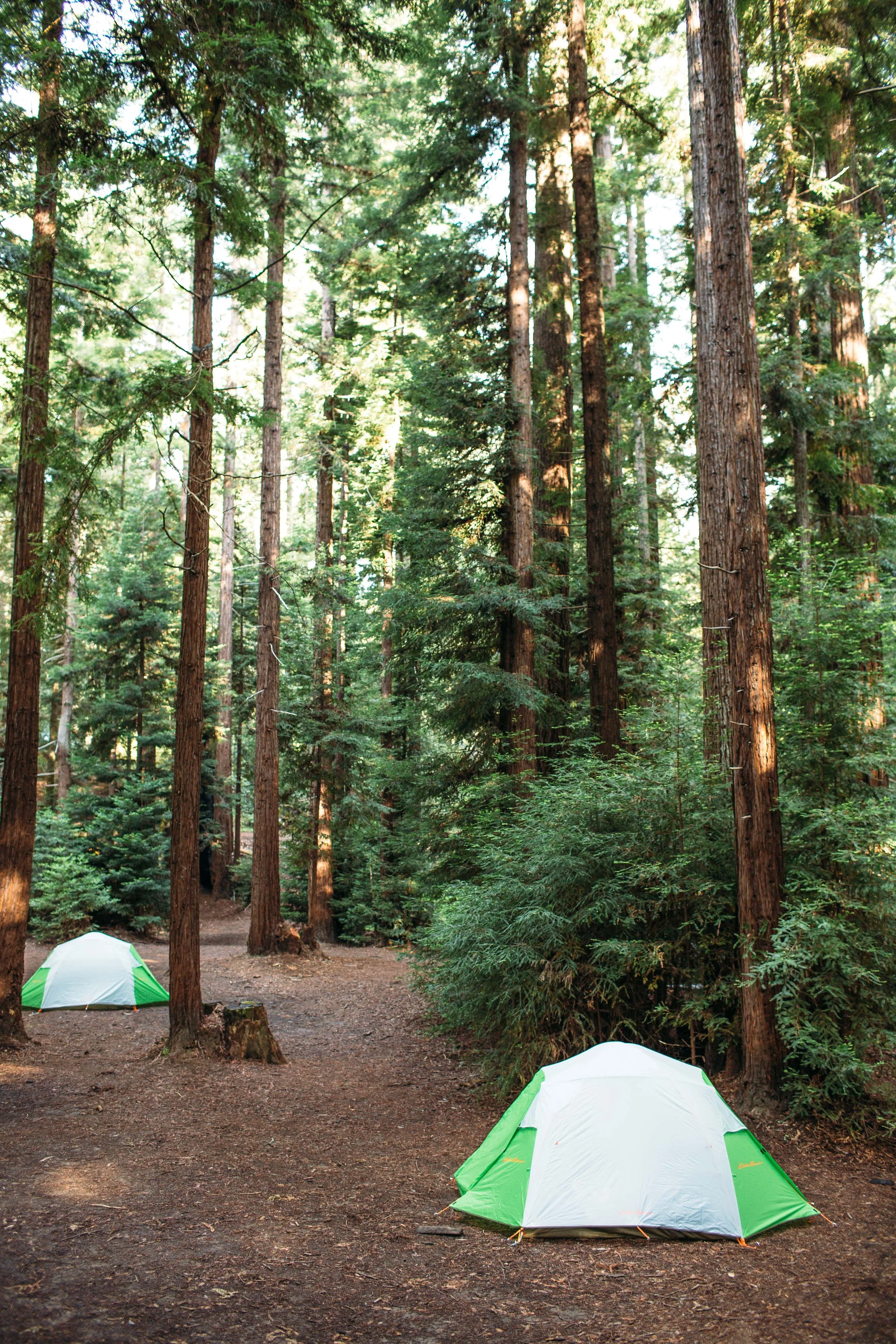 Tents.jpg