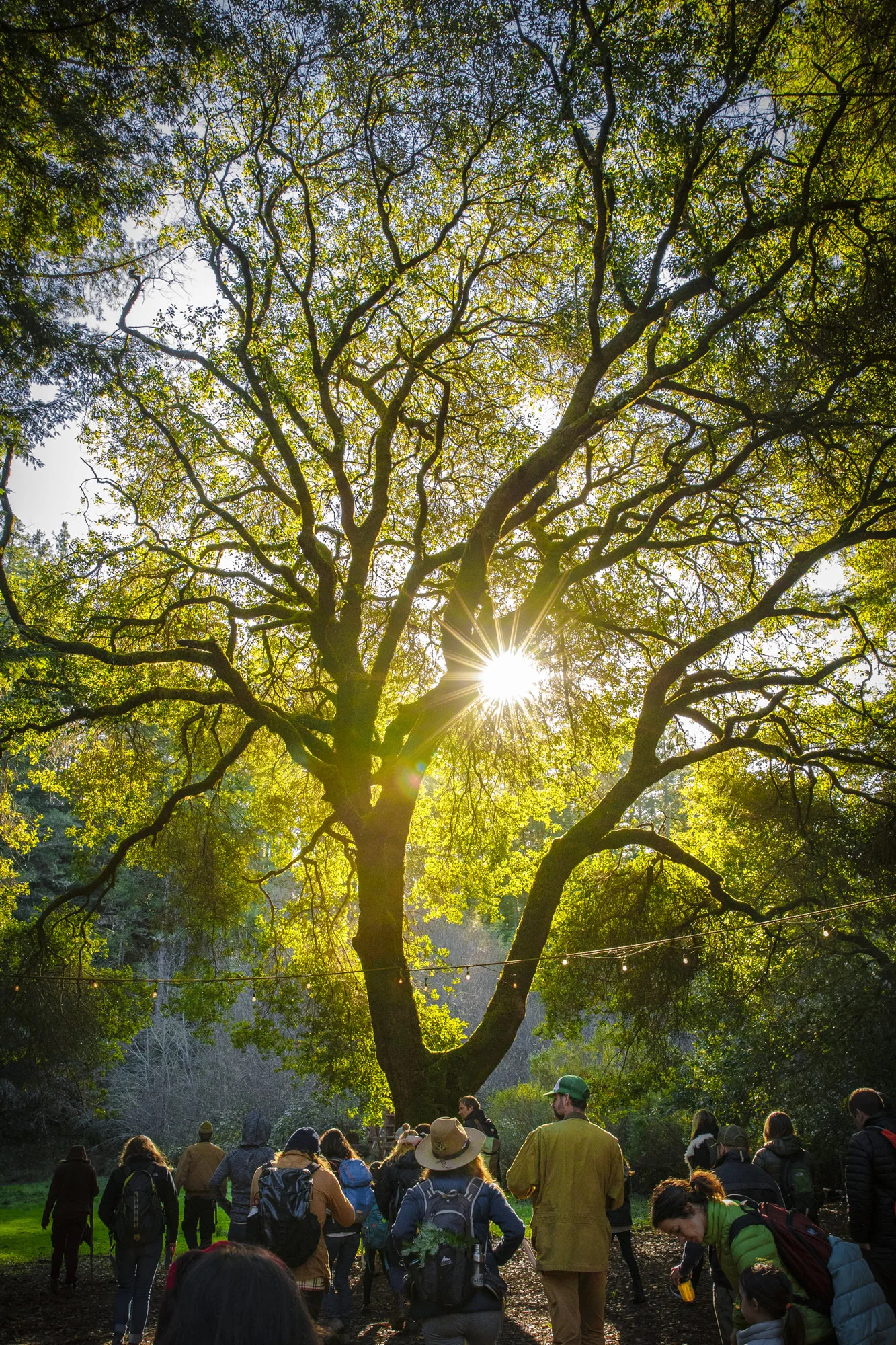 Camp Navarro_Sunlight through the Trees_Photo Credit Evan Dudley.jpg