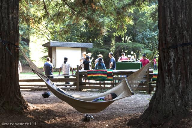 hammock.jpg