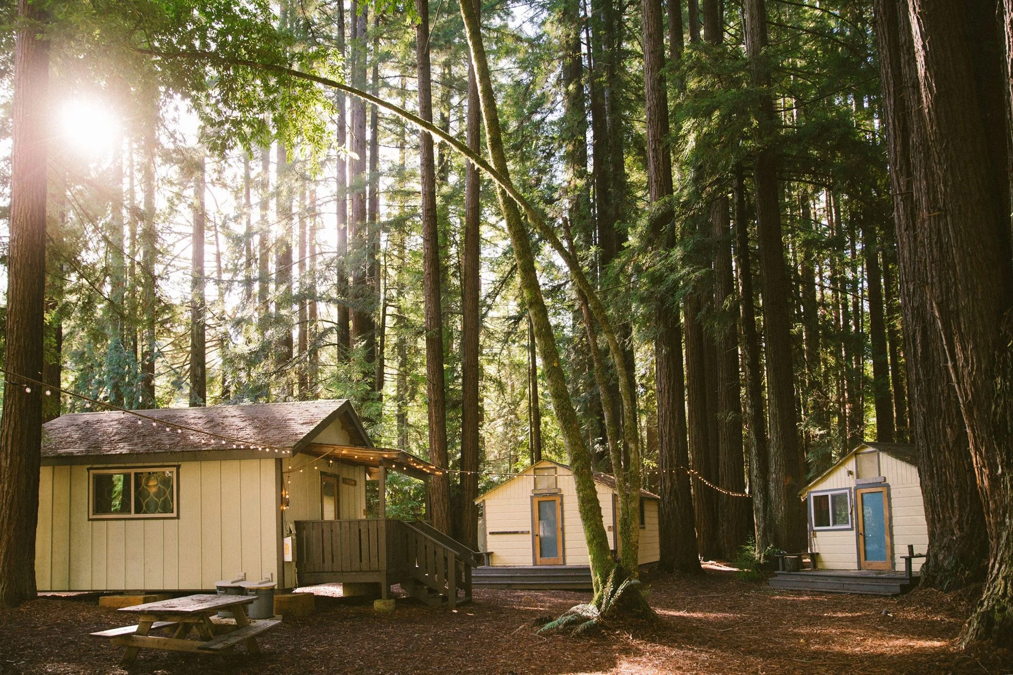 cabins.jpg