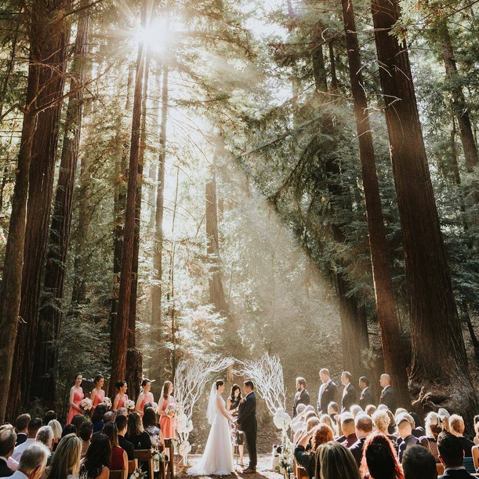 Ceremony in the Forest.jpg