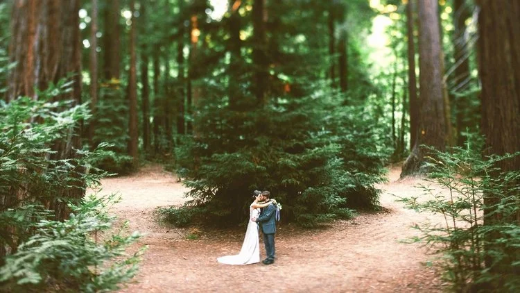 Wedding Couple Long Shot.jpg