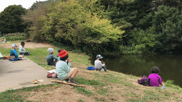 Camps The Butterfly Joint