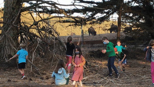 Camps The Butterfly Joint