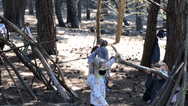 Camps The Butterfly Joint