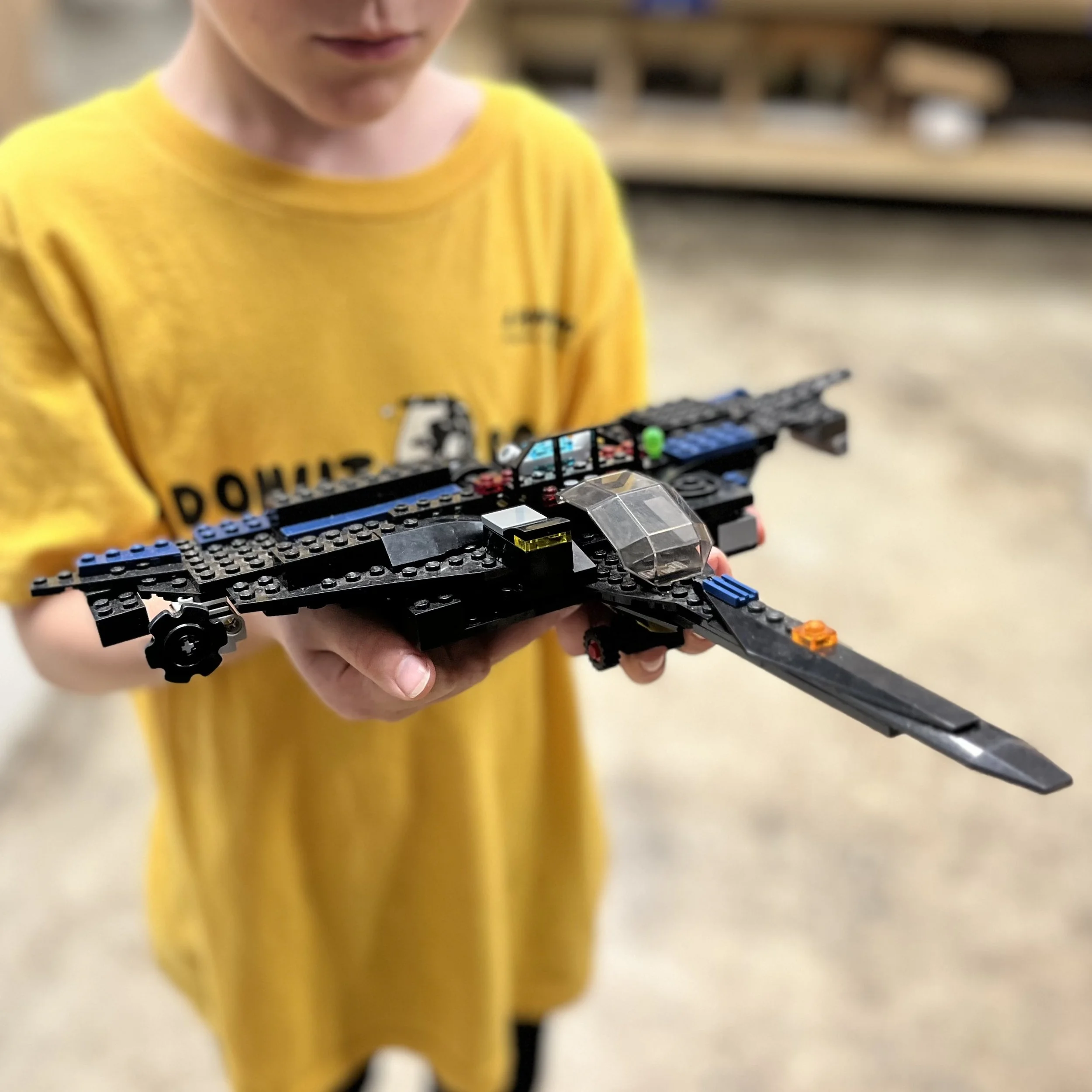 Vega Lego.jpg